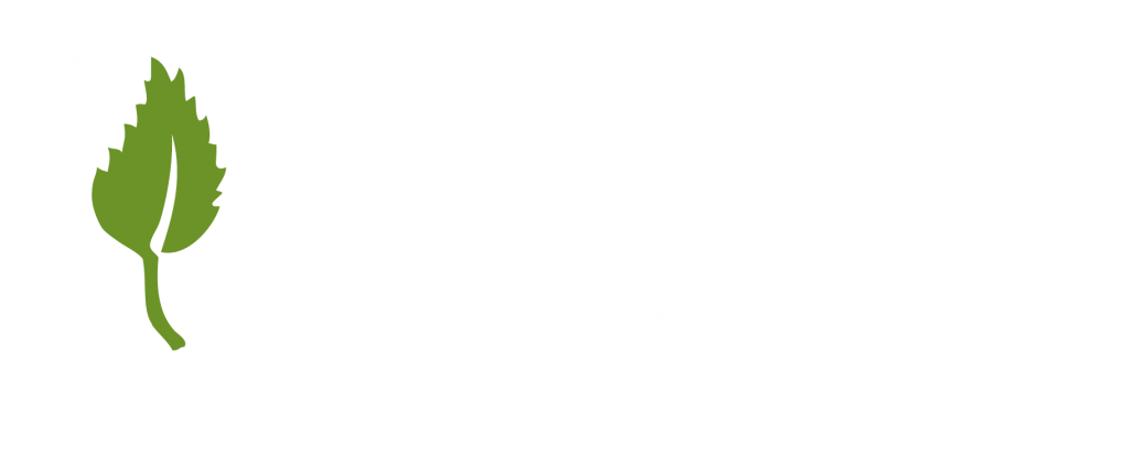 Energy Lock